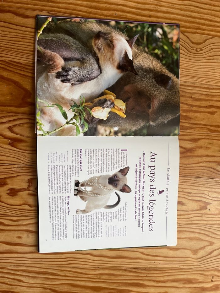 Livre Le Siamois - photo numéro 2