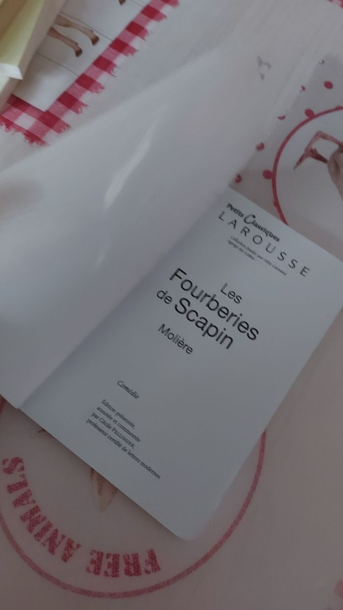 Les fourberies de Scapin - photo numéro 2