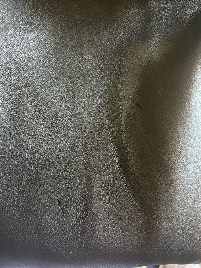 Pantalon droit noir taille haute en cuir Scenic 38 - photo numéro 8