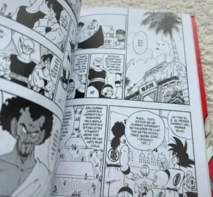 Dragon Ball Tome 12 – Perfect Edition Espagnol – Manga - photo numéro 6