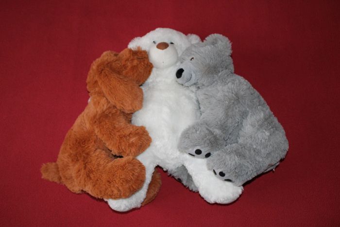 Lot de 3 belles peluches (2 nounours et 1 chien) - photo numéro 5