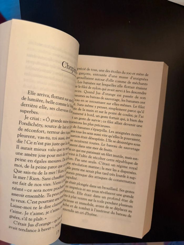 L’histoire de PI - photo numéro 3