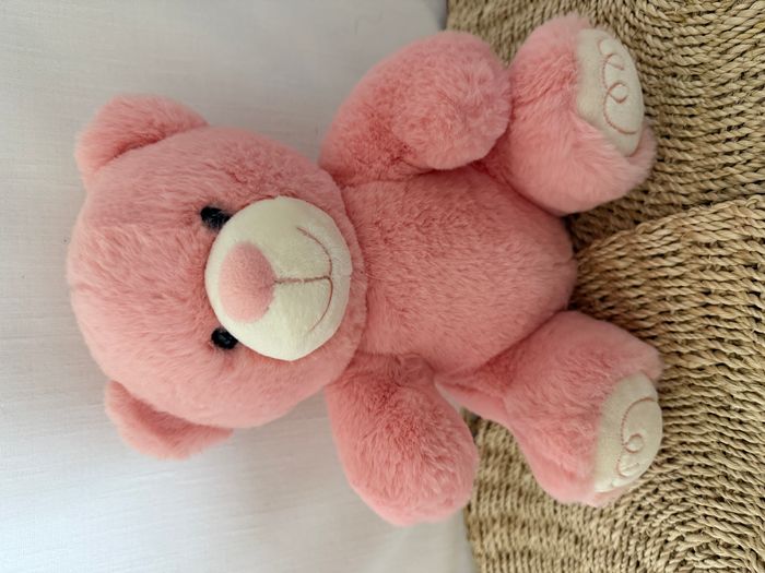 Ourson My sweet teddy rose - photo numéro 1