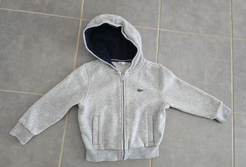 Veste lacoste