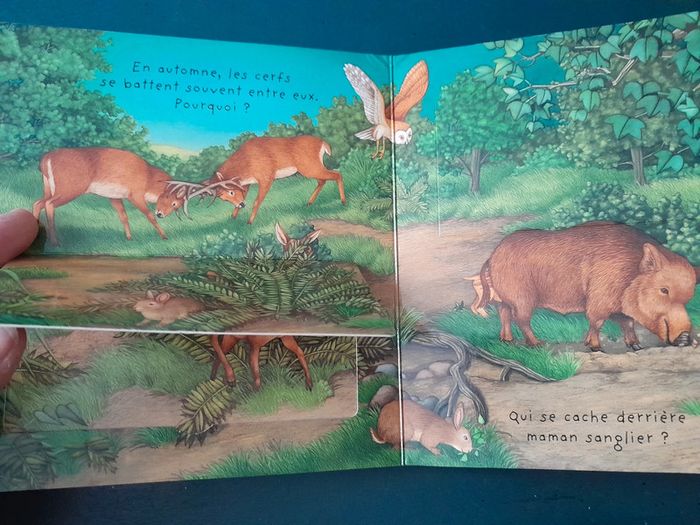 Livre avec rabats les animaux de la nuit - photo numéro 3