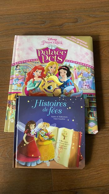 Lot livre princesse et fées