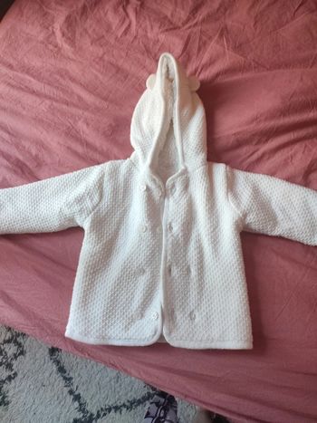 Manteau en laine absorba
