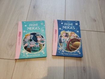 Livre la reine des neiges la bibliothèque rose tome 3 et 4