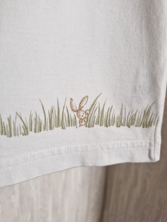 🎯 T-shirt manches courtes bébé – Petit Bateau – Taille 6 mois - Coton - photo numéro 3