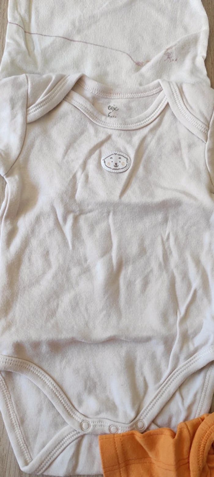 Lot bodies 6 mois - photo numéro 3