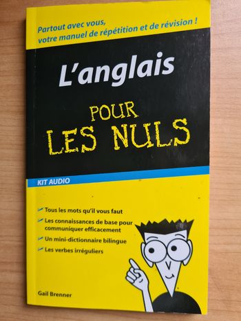 L'anglais pour les nuls  mini dictionnaire bilingue