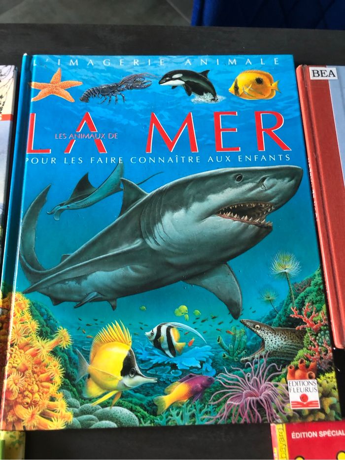 Lot de livres - photo numéro 7