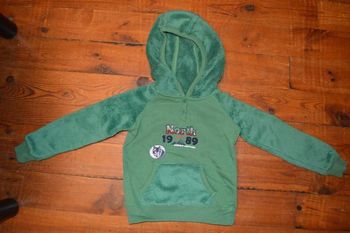 Pull à capuche Lupilu 12/24 mois vert