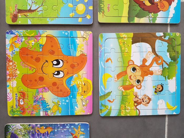 Lot de 10 puzzles en bois, propres ( 7 en très bon état, 3 en bon état), très propres - photo numéro 8