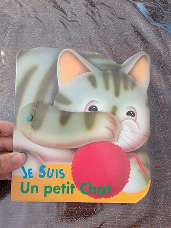 Je suis un petit chat