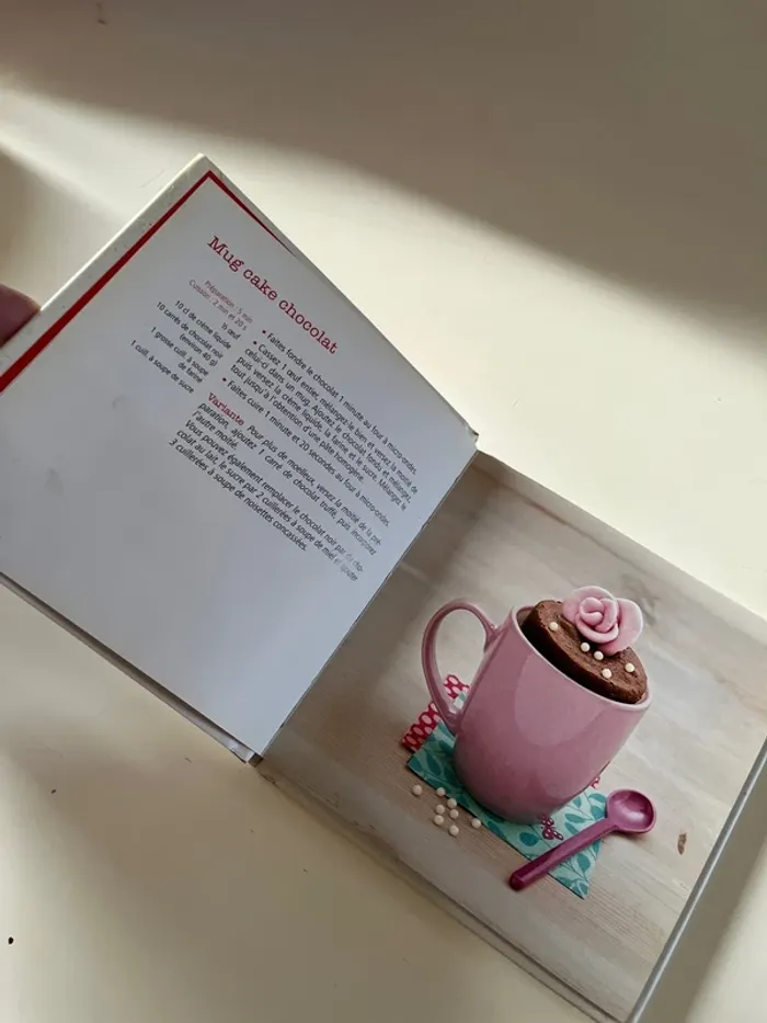 Livre mug cakes - photo numéro 2