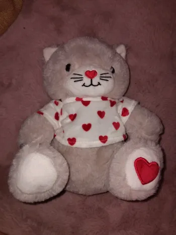 Doudou chat