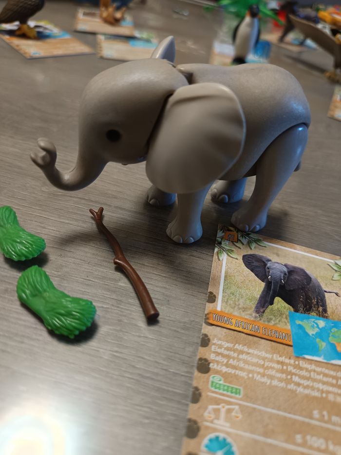 Playmobil wiltopia éléphanteau - photo numéro 2