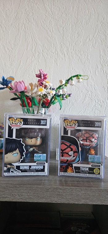 Funko Pop Tusk limited édition et Sung Jinwoo limited édition