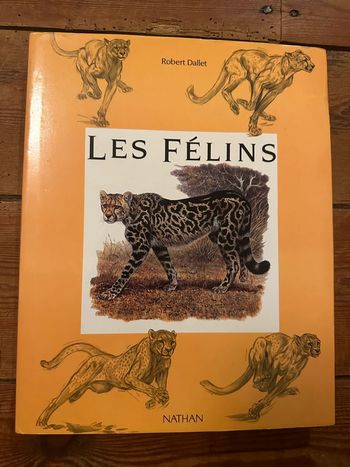 Robert Dallet Nathan Paris encyclopédie beau livre album Les Félins tigre lion chat illustrations