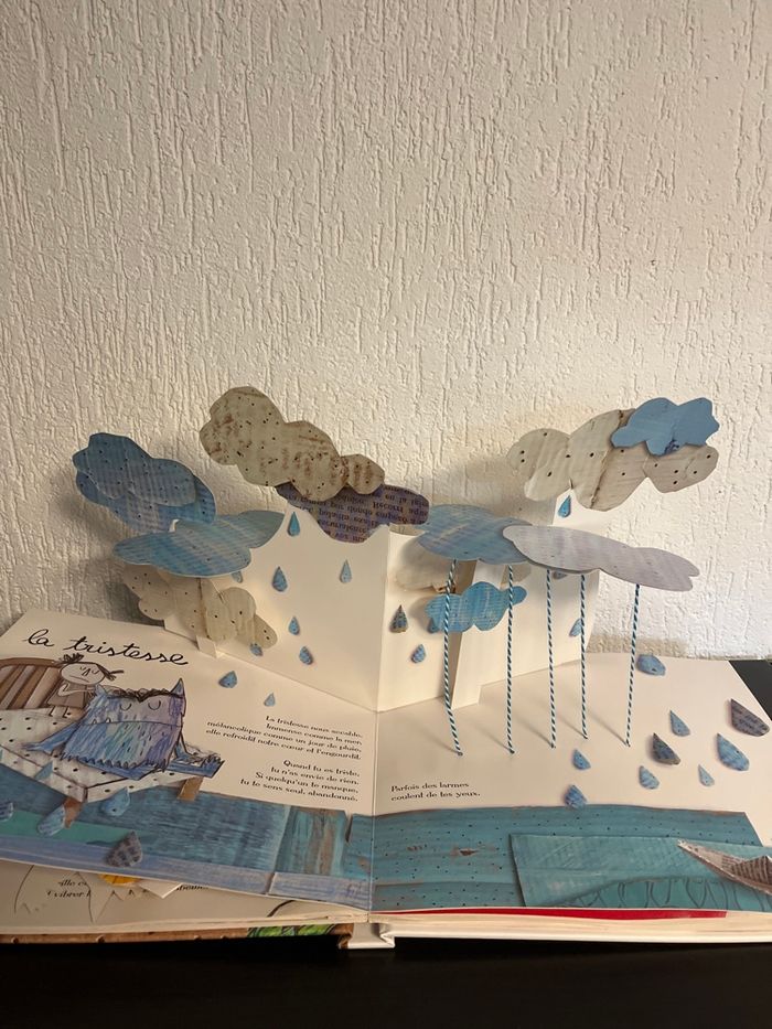 Livre : LA COULEUR DES ÉMOTIONS - photo numéro 4