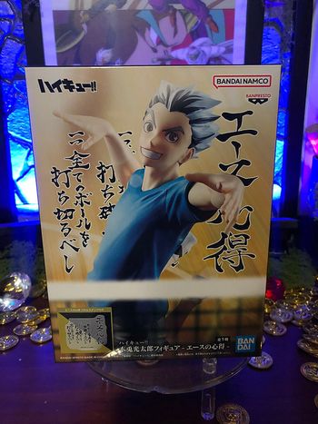 Haikyu!! - Dxf Kotaro Bokuto Ace's Wisdom