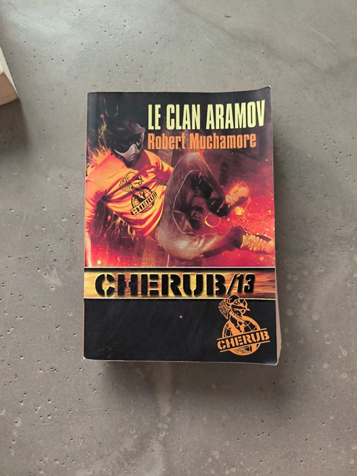 Cherub /13