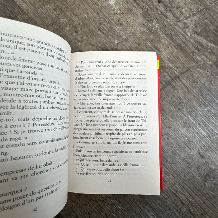 Odile Weulersse - le chevalier au bouclier vert - photo numéro 8