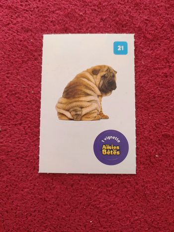 Carte nos amies les bêtes