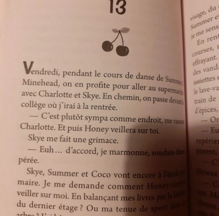 Livre coeur cerise - photo numéro 3