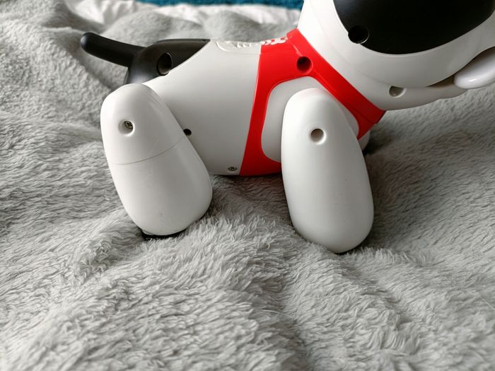 Duke le chien Interactif TBE - photo numéro 6