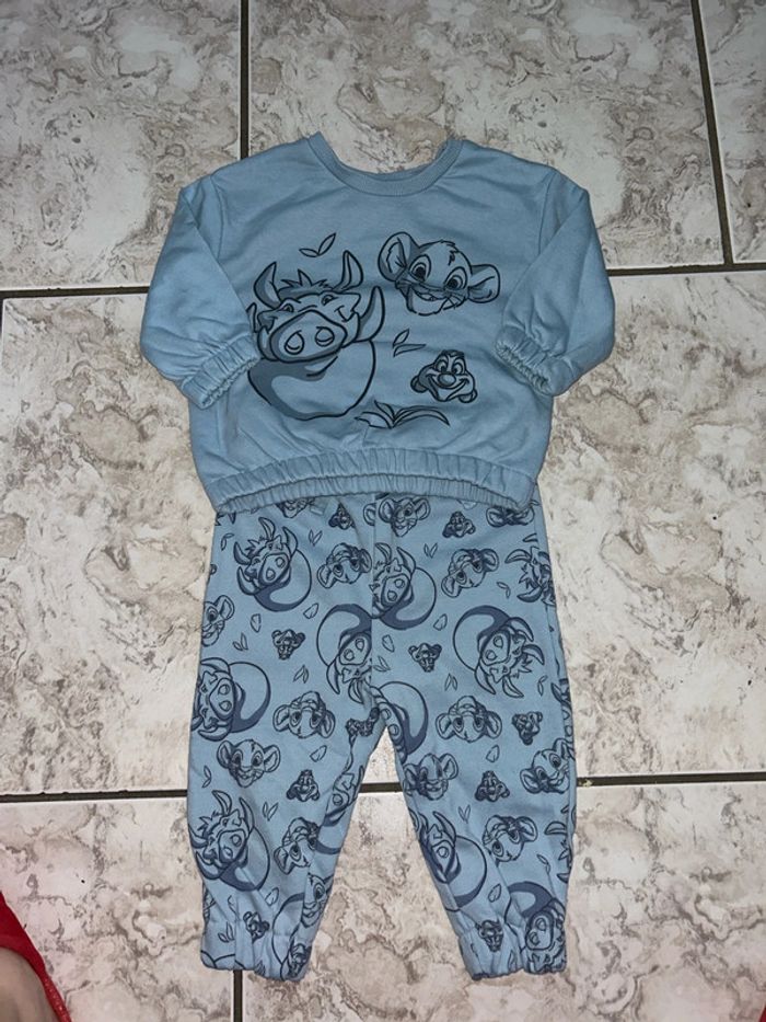 Ensemble simba