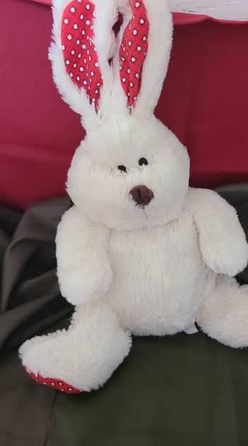 Doudou Peluche PLEIN NORD vm/wb Lapin Crème Pattes Oreilles Rouge Neuf