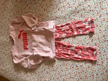 Ensemble puma