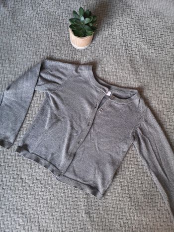 Gilet gris bestie