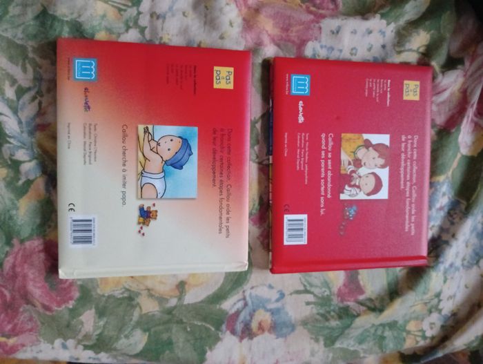 2 livres Caillou - photo numéro 2