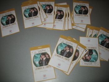 COLLECTION : CARTES LA MAGIE DE L'AMITIÉ "HARRY POTTER" - 2022 - NEUVE - n°13