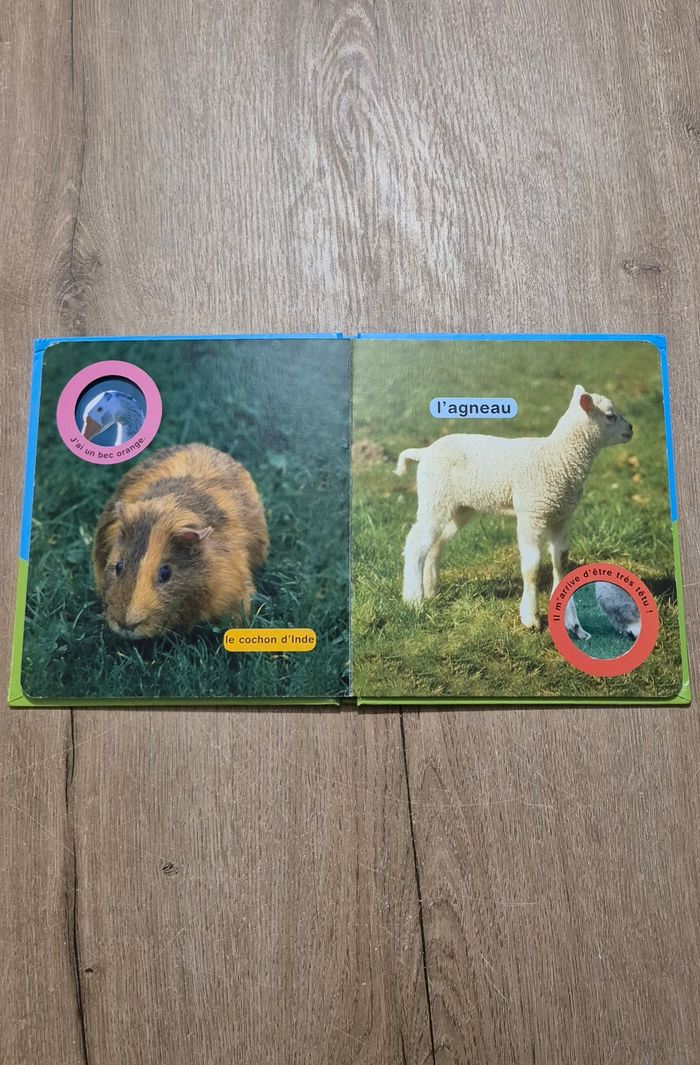 Livre Coucou la poule - photo numéro 5
