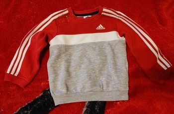 pull adidas