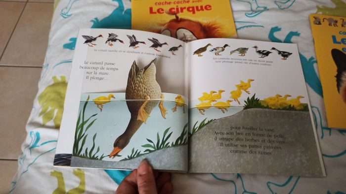 Lot 6 livres magiques - photo numéro 8