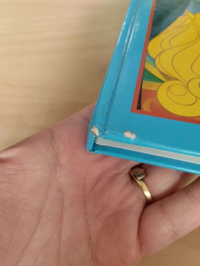 Livre la belle au bois dormant offert - photo numéro 3