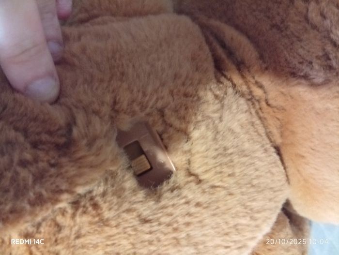 Ours cubby interactif - photo numéro 4