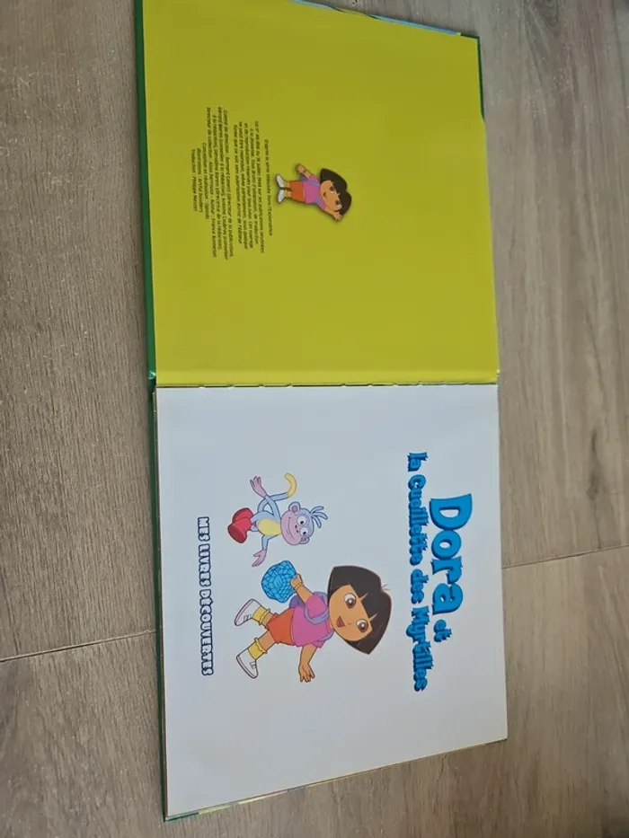 Livre Dora l'exploratrice - photo numéro 3