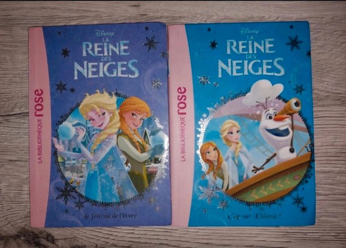 Livre de poche La reine des neiges