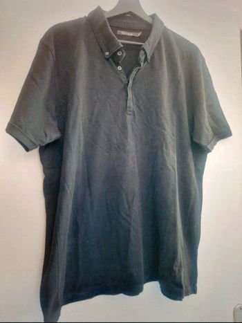 Polo Brice