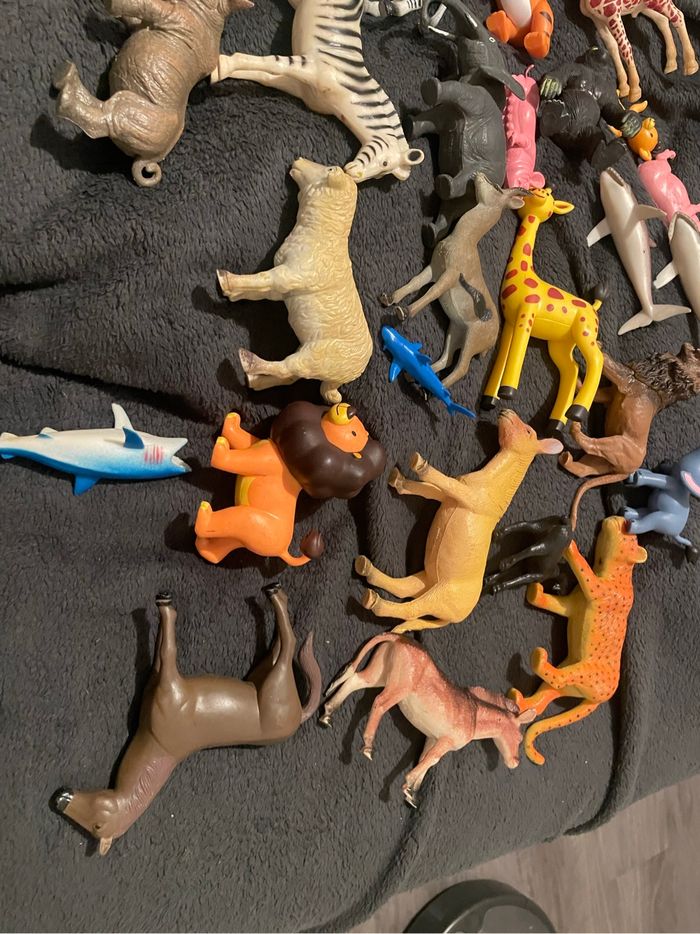 Lot animaux - photo numéro 3
