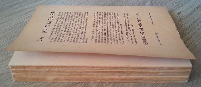 Friedrich Durrenmatt - la promesse roman - photo numéro 5