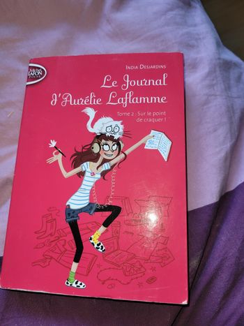 Le journal d Aurelue Laflamme Tome 2 sur le point de craquer