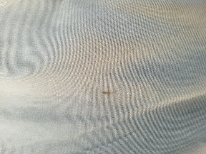 Blouson homme taille 54 - photo numéro 6