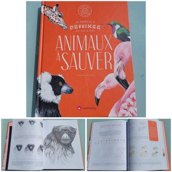 Livre 30 espèces à dessiner en pas-à-pas 🦩 Animaux à sauver 🦒 Beaux-Arts pour la terre (72)